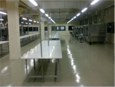 PT. Rapala VMC - Image 2